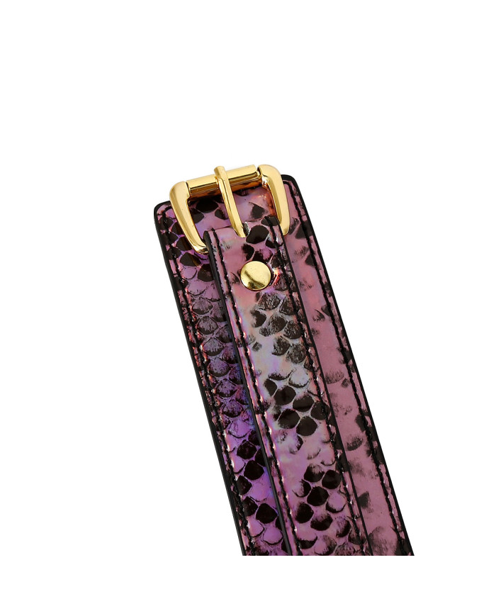 Collar Gold Pink Reptile with Leash