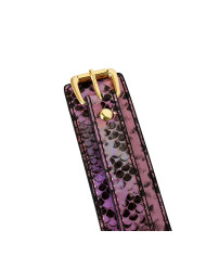 Collar Gold Pink Reptile with Leash