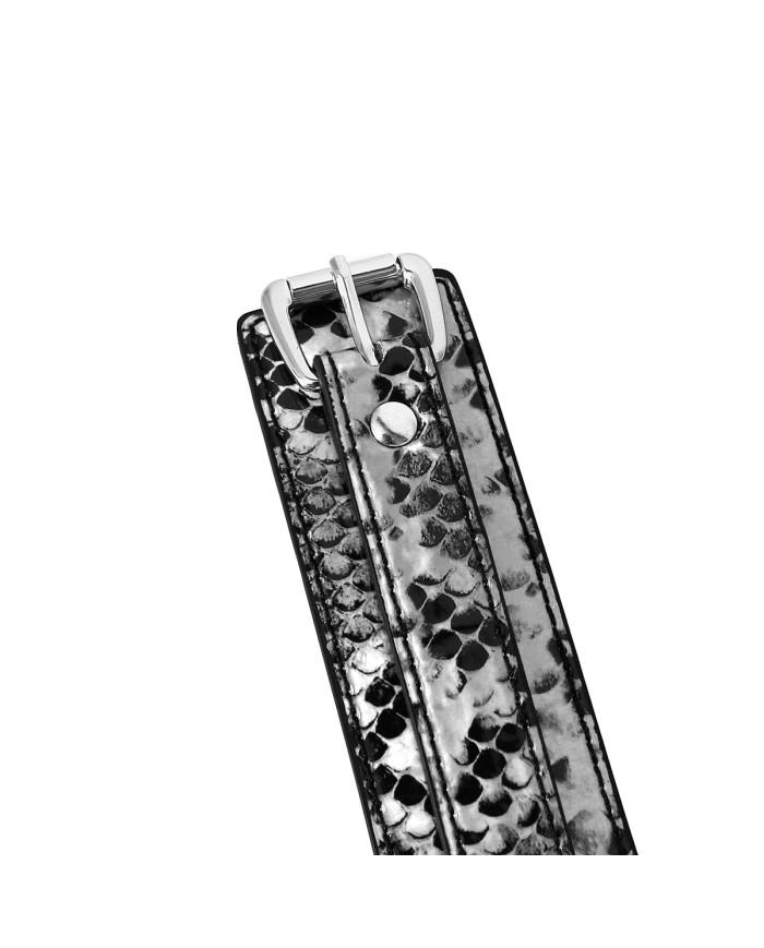 Collar Black Silver Reptile with Leash