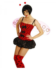 Ladybeetle Costume