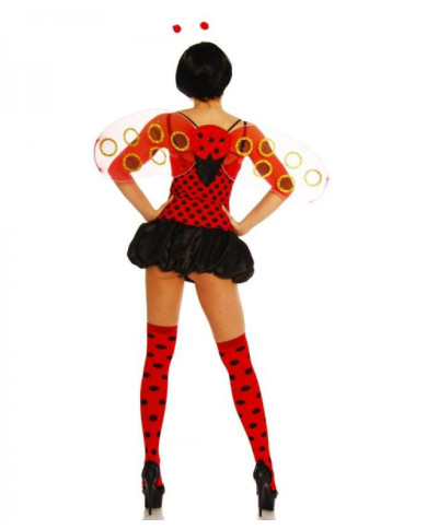 Ladybeetle Costume