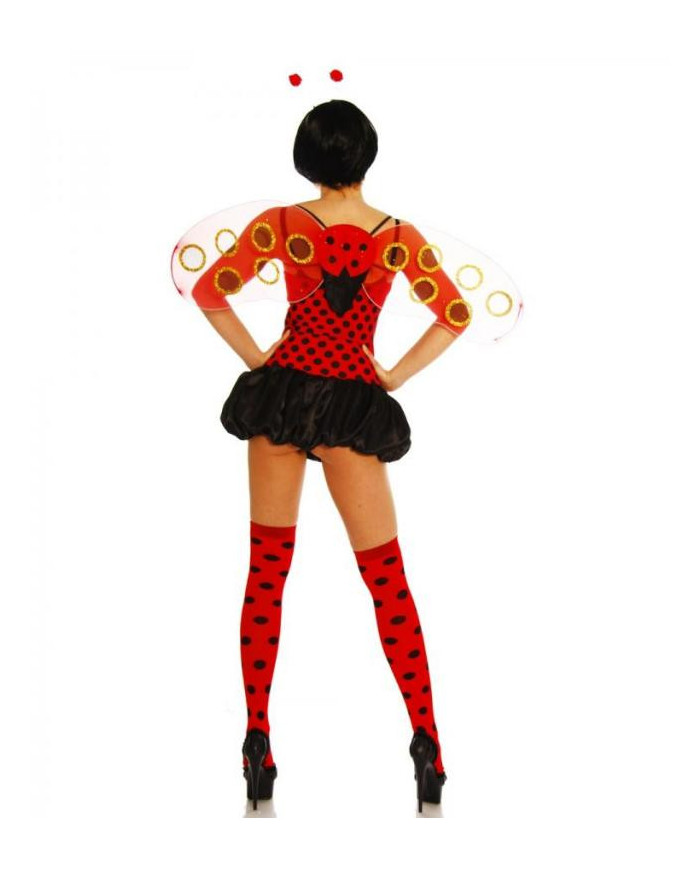 Ladybeetle Costume