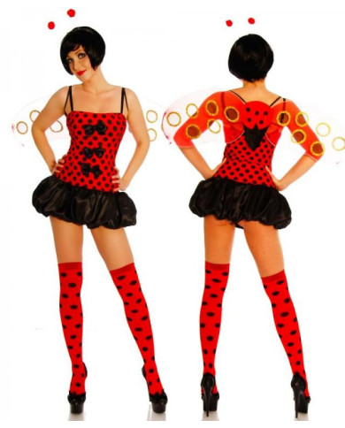 Ladybeetle Costume
