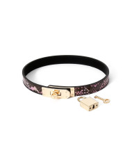 Collar Gold Pink Reptile with Leash