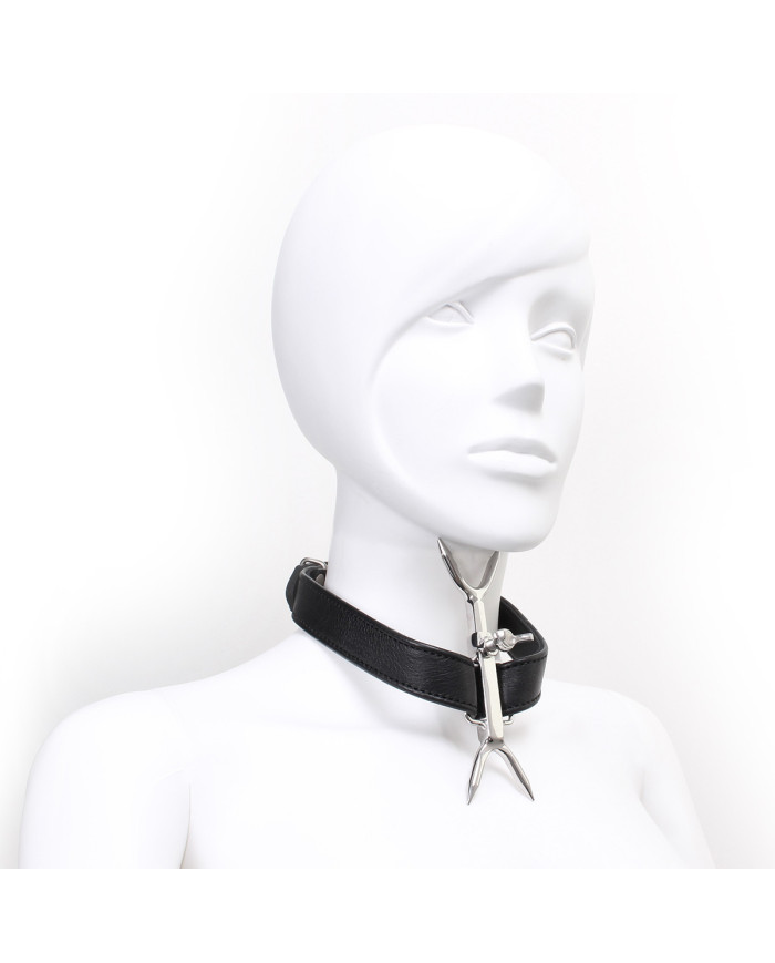 Adjustable Double Neck Collar with Pins