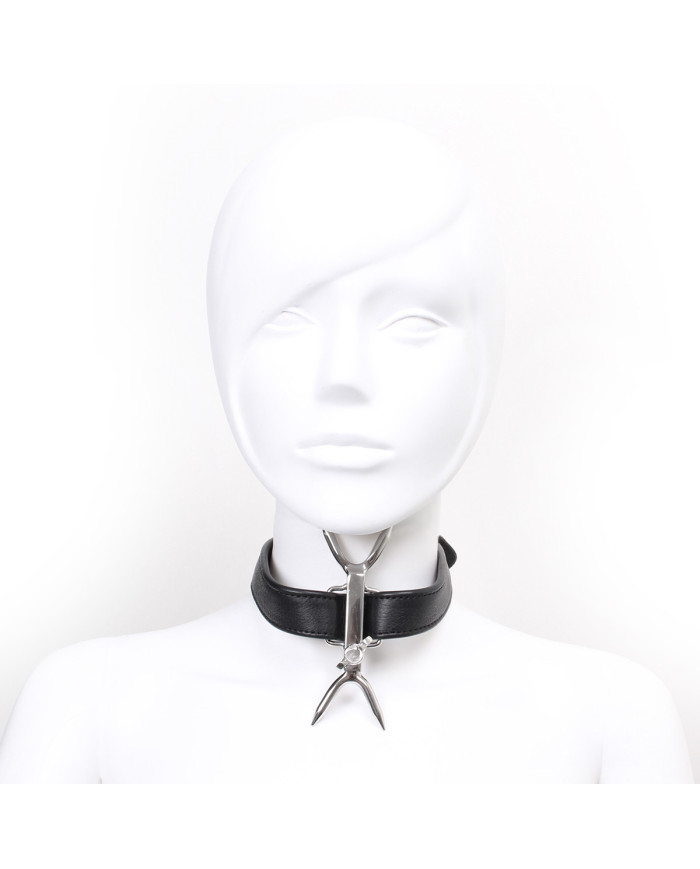 Adjustable Double Neck Collar with Pins