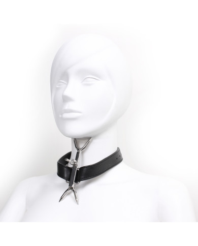 Adjustable Double Neck Collar with Pins