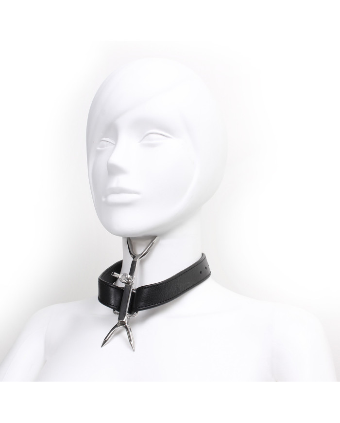 Adjustable Double Neck Collar with Pins
