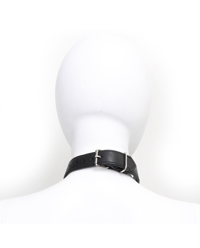 Adjustable Double Neck Collar with Pins