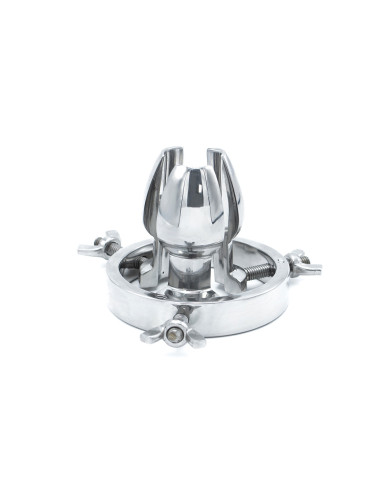 Anal Spreader Device Anal Spreader Device