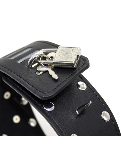Leather Collar Spiked