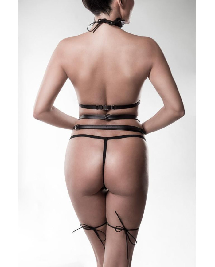 erotic set from Grey Velvet