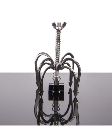 Dragon Claw Dragon Claw