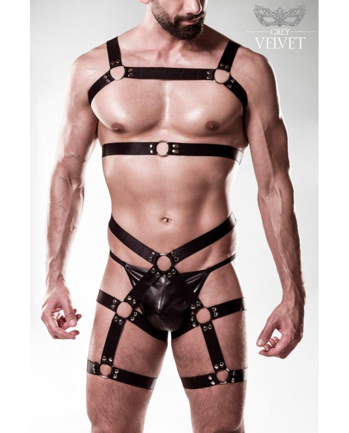 harness set by Grey Velvet