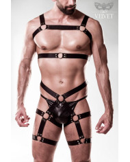 harness set by Grey Velvet