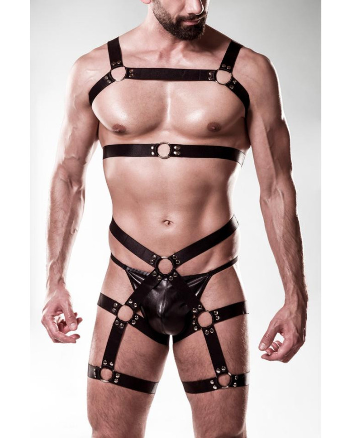 harness set by Grey Velvet