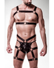 harness set by Grey Velvet