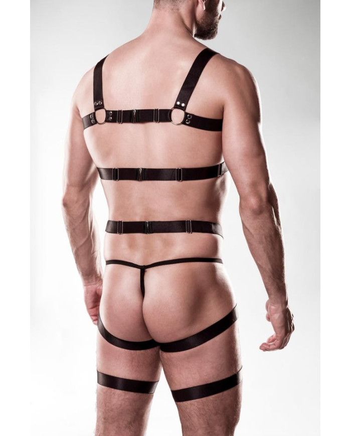 harness set by Grey Velvet