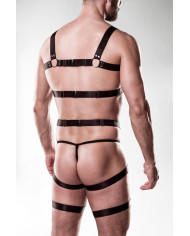 harness set by Grey Velvet