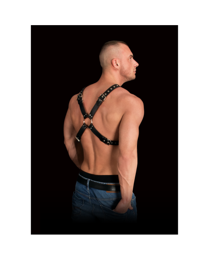 Adonis - High Halter Harness