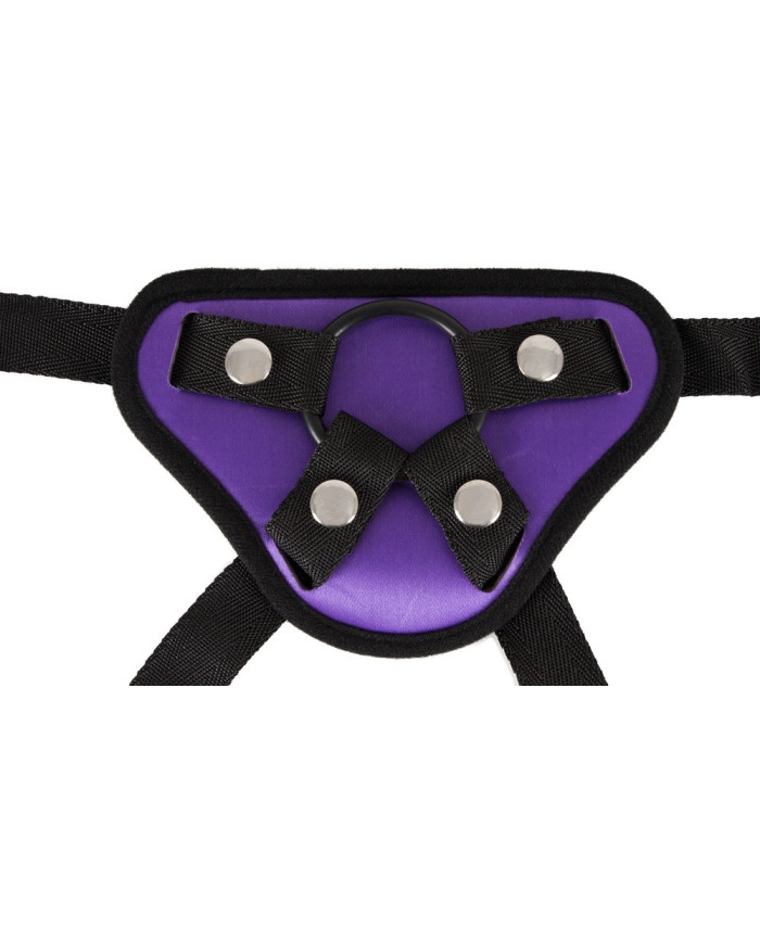 Universal Harness   3 Rings Universal Harness   3 Rings