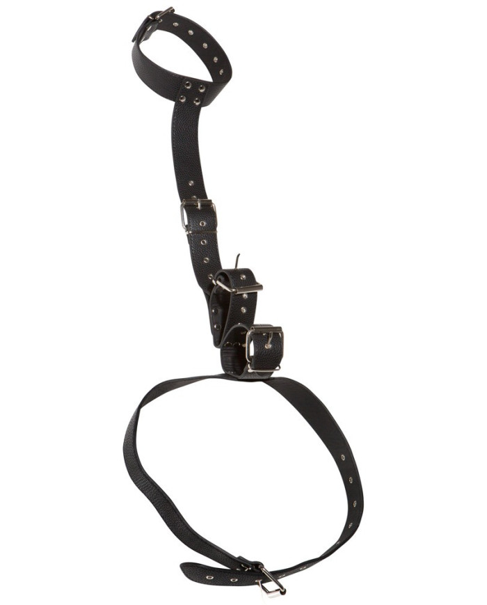 Neck Restraint with Handcuffs Neck Restraint with Handcuffs