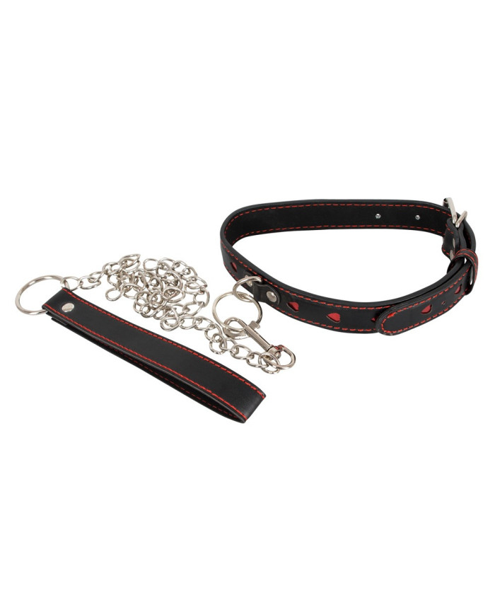 Collar and Leash