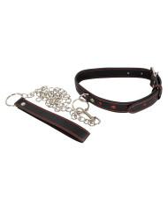 Collar and Leash
