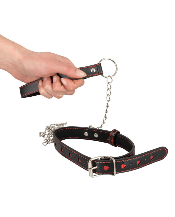 Collar and Leash