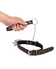 Collar and Leash