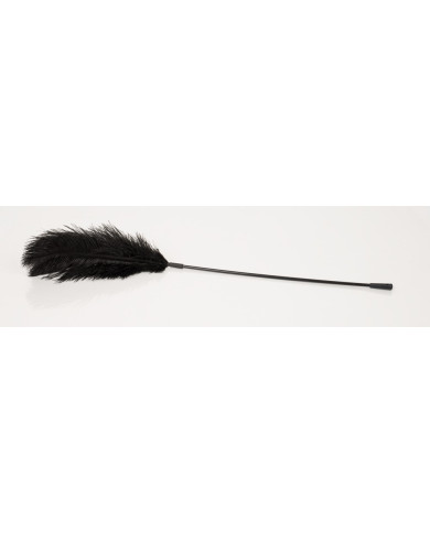 Black feather Bad Kitty Black feather Bad Kitty