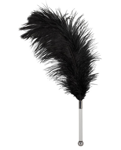 Feather black acrylic Feather black acrylic
