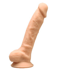 Silexd Model 1 Silexd Model 1