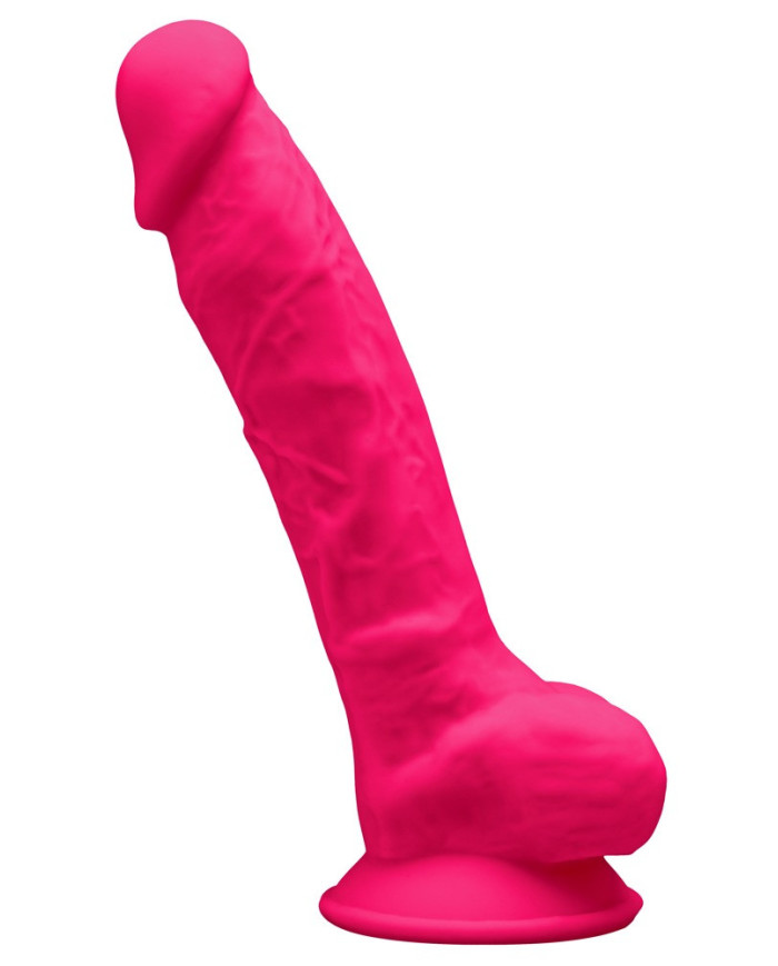 SilexD 7   Model 1 Premium Dild