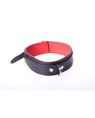 Collar Basic - Red