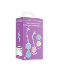 Vibrating and 5 Weight Interchangeable Kegel Kit with Remote Control - Purple
