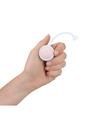 Vibrating and 5 Weight Interchangeable Kegel Kit with Remote Control - Purple