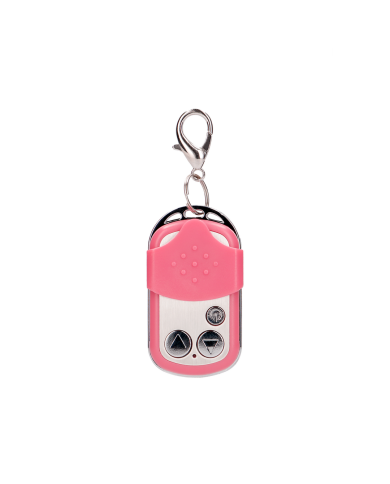 Vibrating Bullet with Remote Control