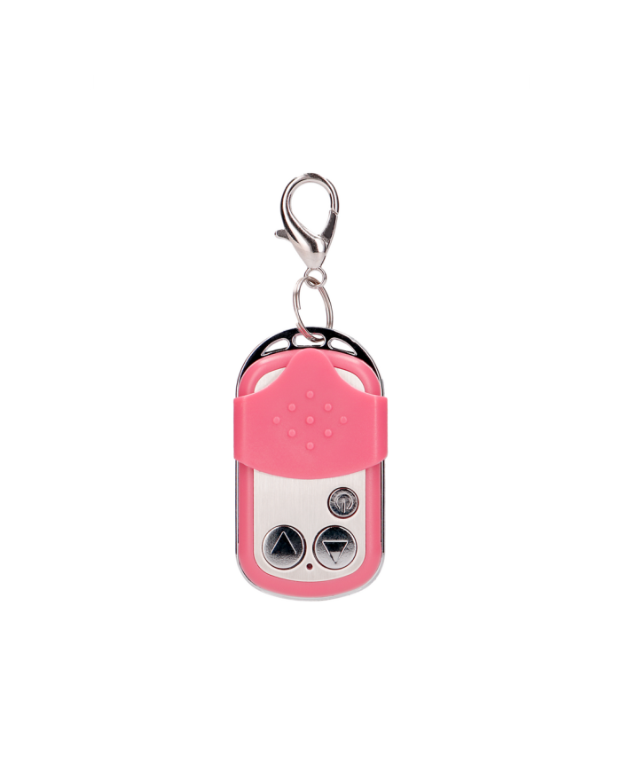 Vibrating Bullet with Remote Control