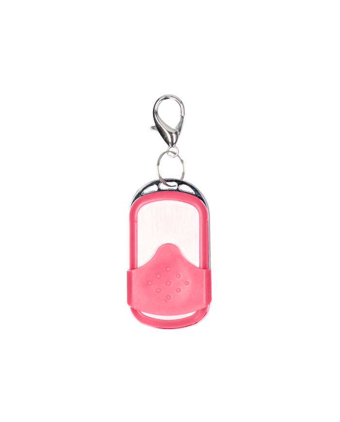 Vibrating Bullet with Remote Control
