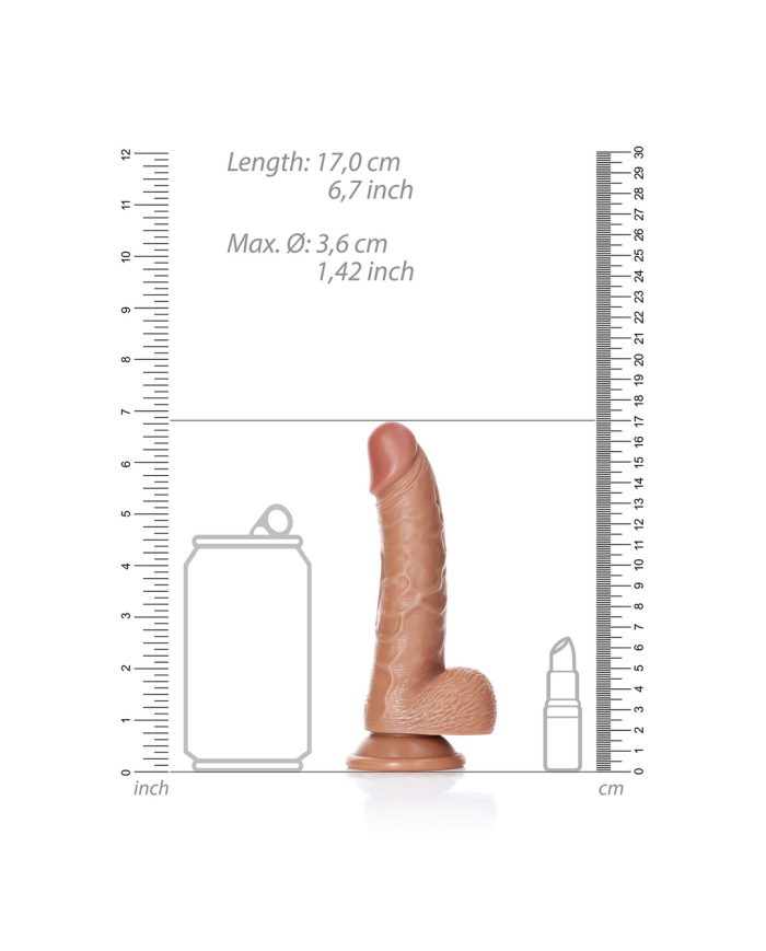 Curved Realistic Dildo with Balls and Suction Cup - 6   15,5 cm