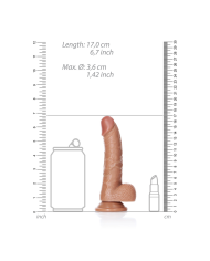 Curved Realistic Dildo with Balls and Suction Cup - 6   15,5 cm