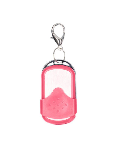 Vibrating Bullet with Remote Control