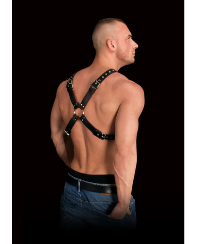 Adonis - High Halter Harness