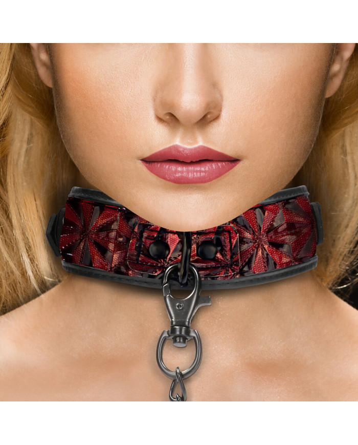 Collar with Leash