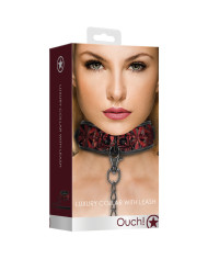 Collar with Leash