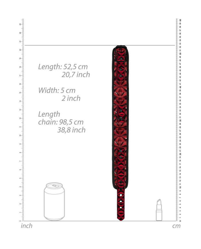 Collar with Leash