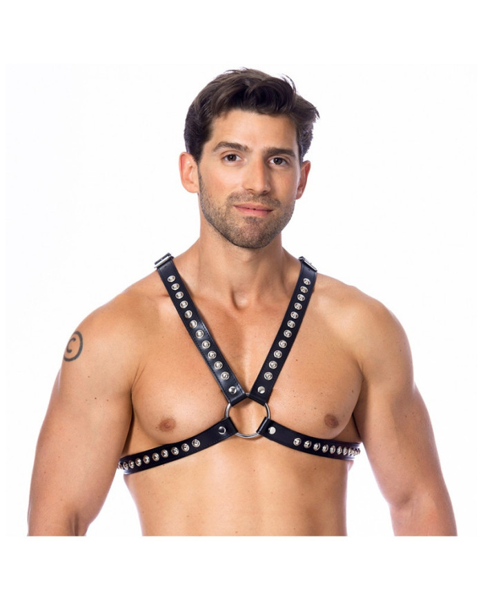 Rimba - Chest harness decorated with studs