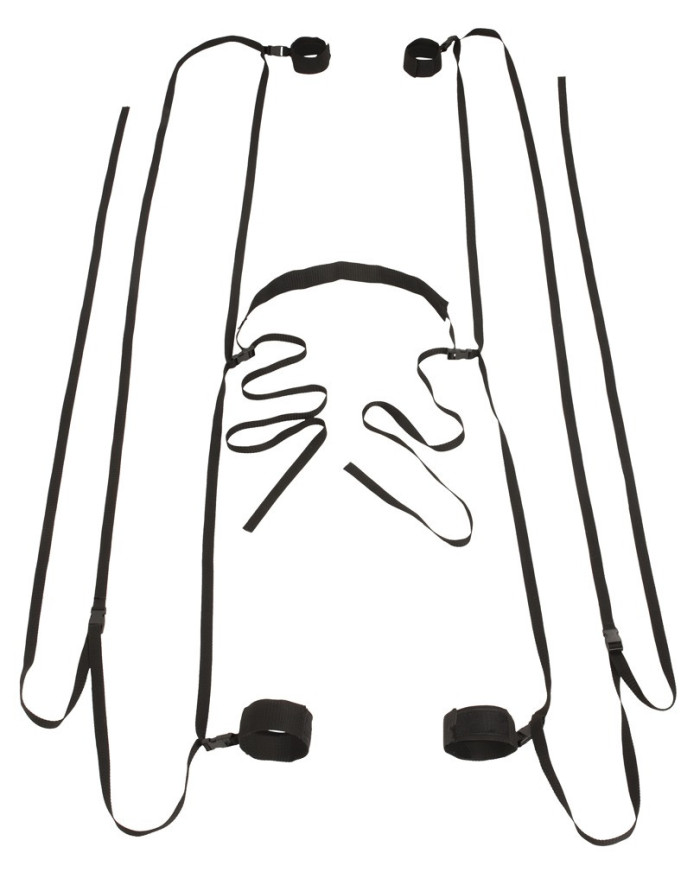 Bad Kitty Door  Bed Restraints