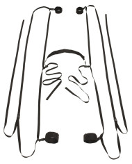 Bad Kitty Door  Bed Restraints